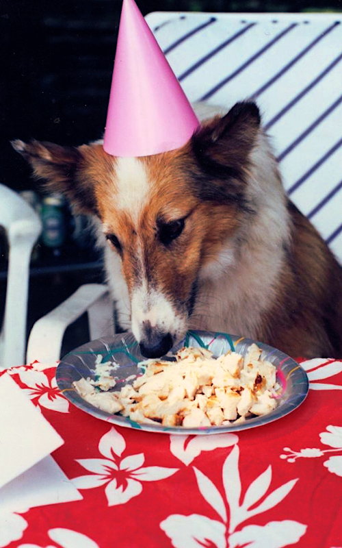 Sophie Foxx-Benjamin birthday
